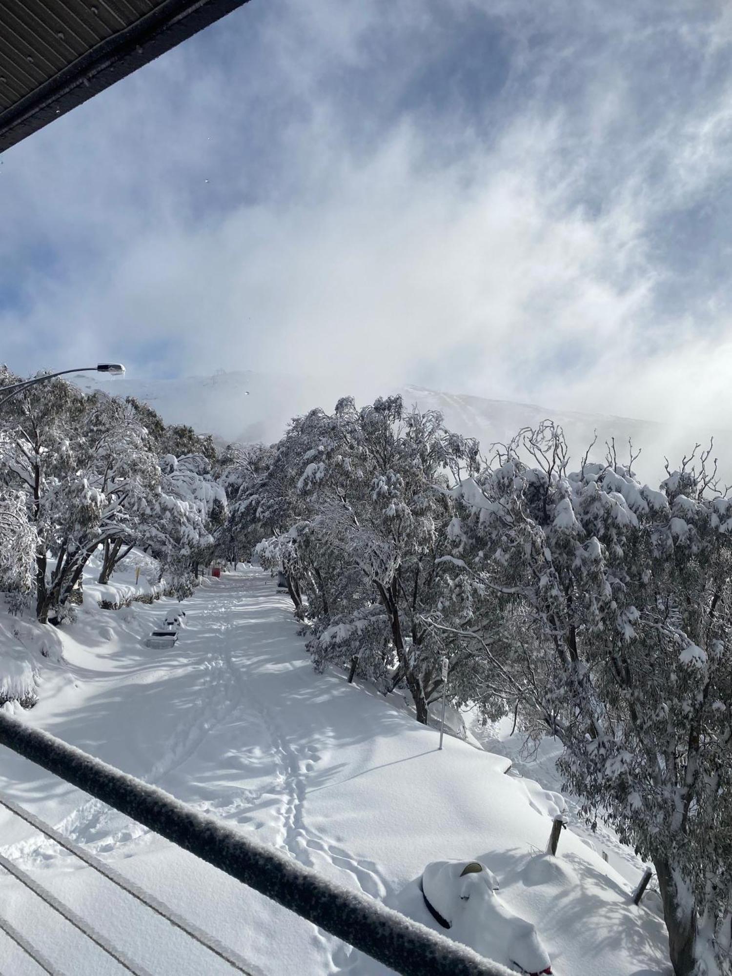 Alpine Woodsmoke Apartments Falls Creek Eksteriør bilde